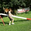 agility 2011-08